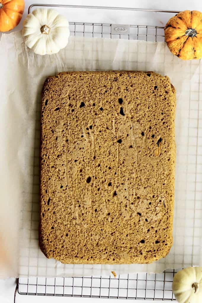 Overhead shot of cake layers for pumpkin chai latte cake before using cake ring to cut layers