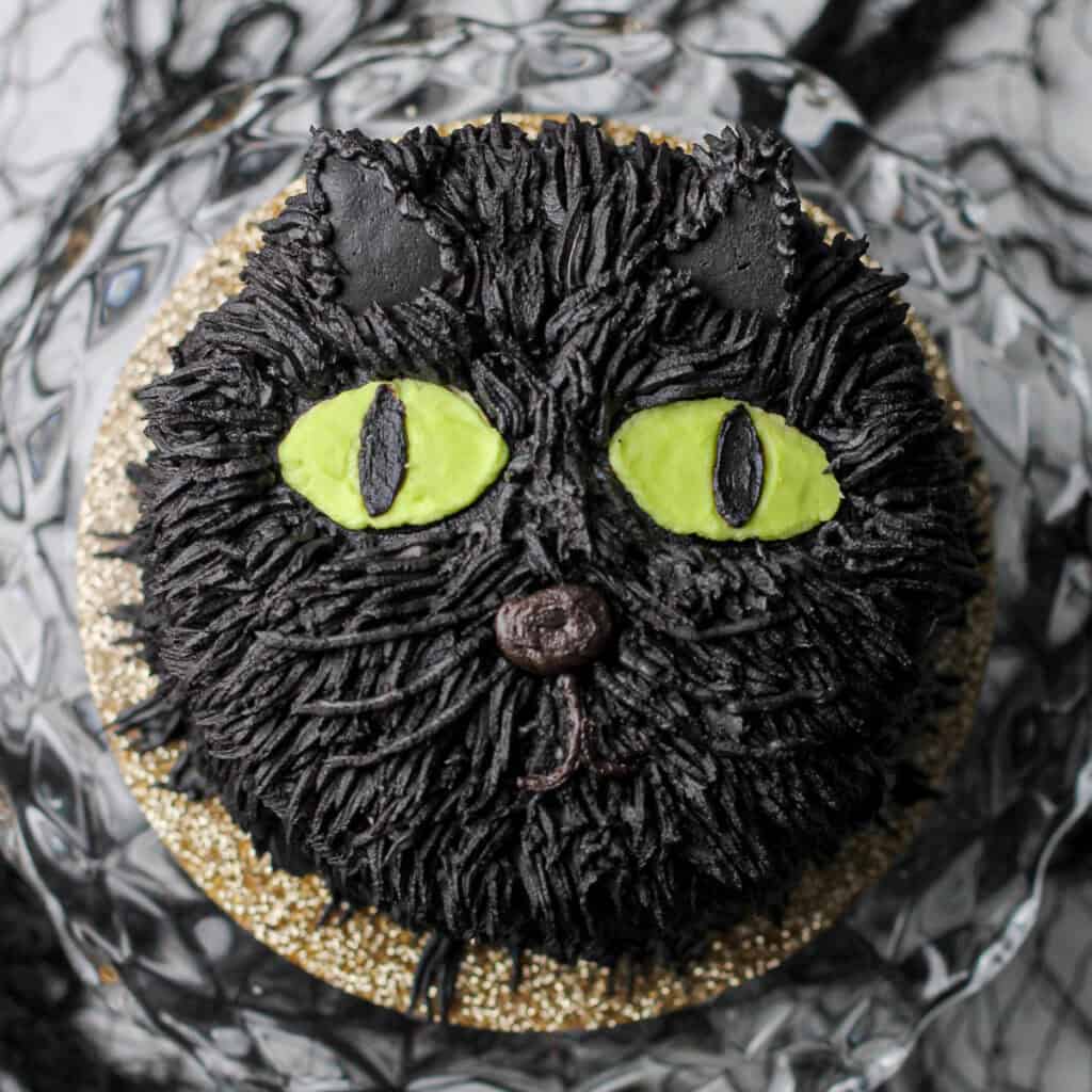 Overhead image of a black cat cake, made from black cocoa powder.