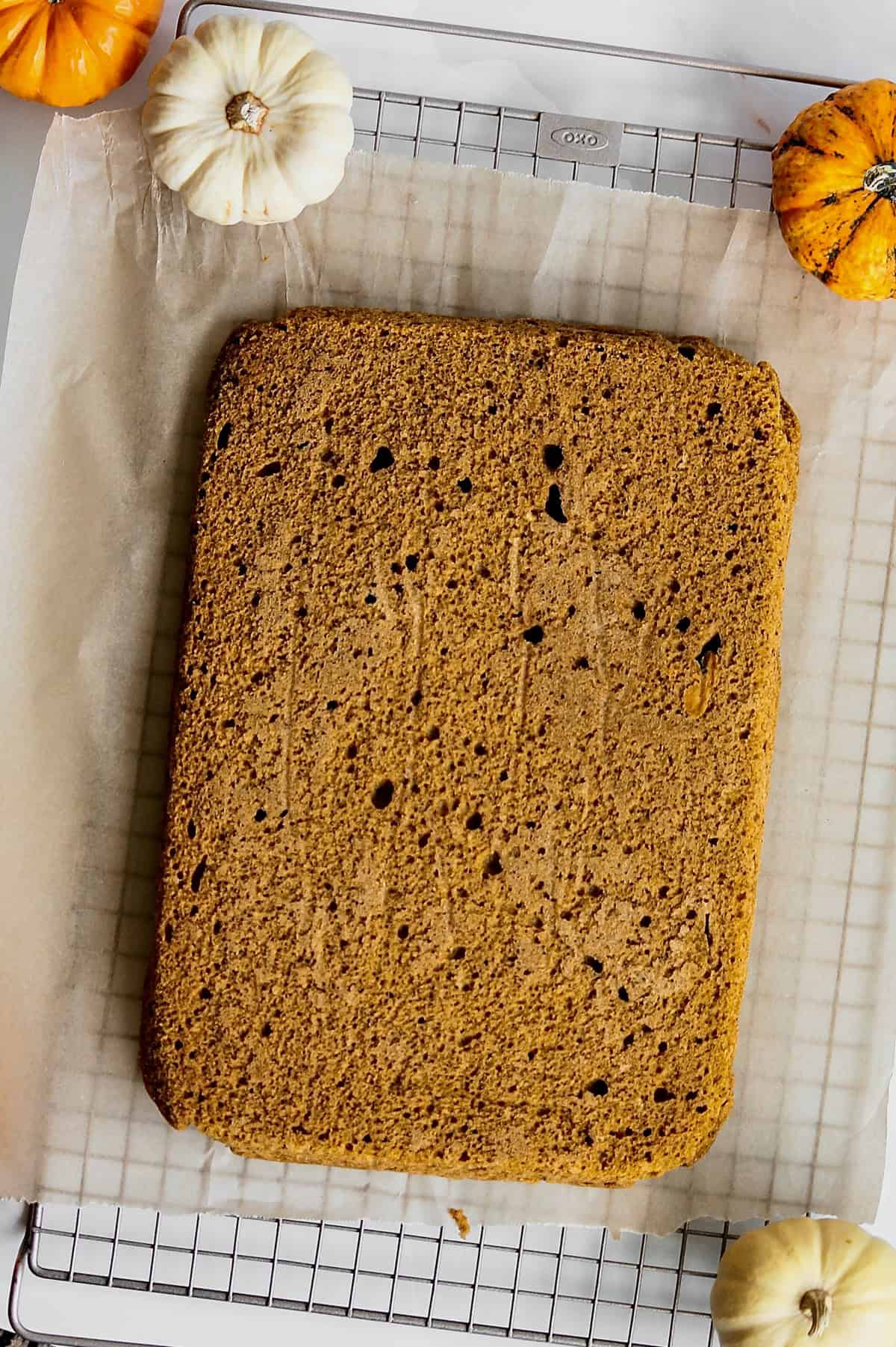 Baked pumpkin cake, sitting on a cooling rack.
