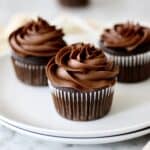 fudgy chocolate cupcakes on white plates