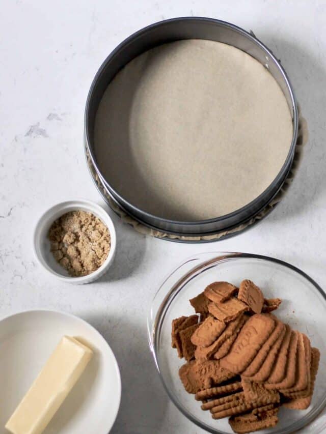 How to Make NoBake Biscoff Pie Crust Story Susan Brings Dessert