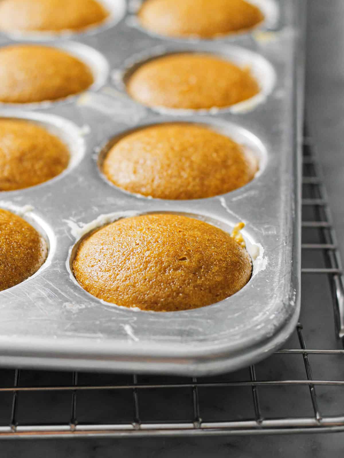 Mini pumpkin muffin sitting in baking pan after exiting the oven.