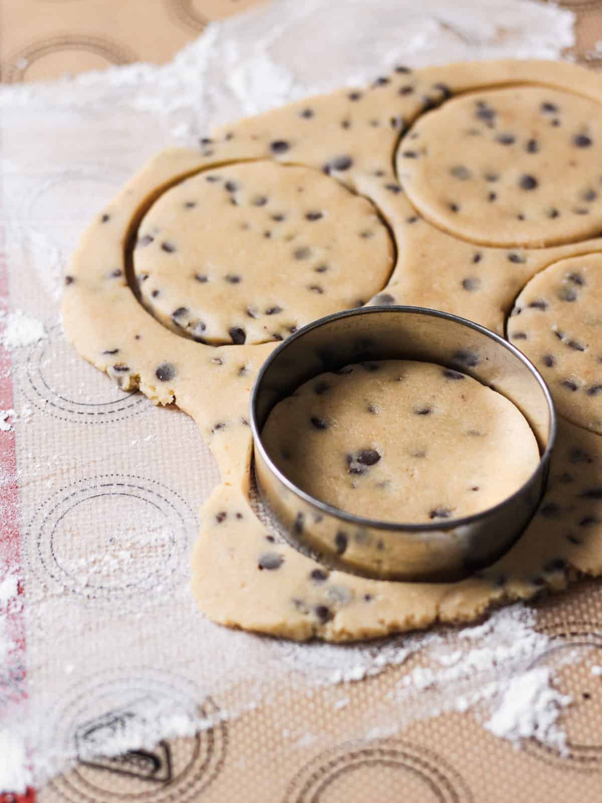 Round cookie cutter making the cuts for chocolate chip sugar cookie dough.