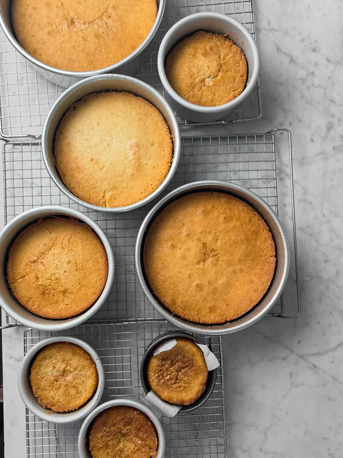 Eight freshly baked cake layers, in their pans on a cooling rack.