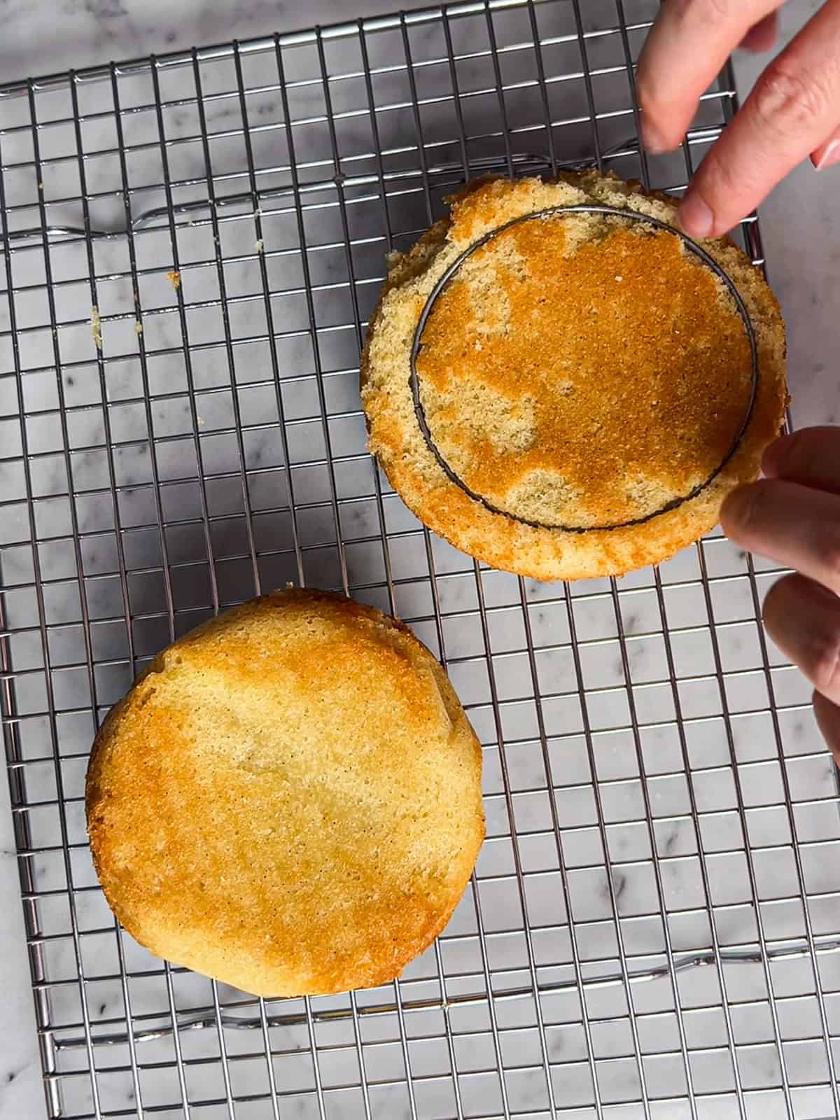 Using a cookie cutter to cut a 3" cake layer from a 4" layer of cake.