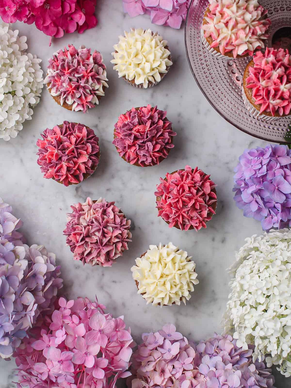 Overhead image of hydrangea cupcakes piped with shades of white, pink, and purple buttercream, framed by real hydrangeas.